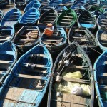 Des ONG et des Eurodéputés contestent sa forme actuelle : Le prochain accord de pêche UE-Maroc devra exclure les eaux sahraouies