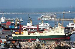 Justice , Vers un non-lieu pour l’ex-DG du port d’Alger