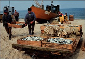 La RASD dénonce une « vaste entreprise de pillage » de ses richesses naturelles par le Maroc