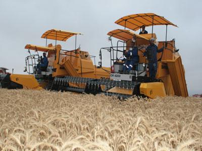 L&rsquo;Algérie a acheté au moins 200.000 t de blé dur