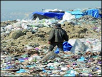 L’Algérie au bord d’un désastre écologique