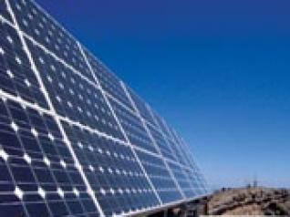 L’Algérie se mettra-t-elle définitivement au vert ?