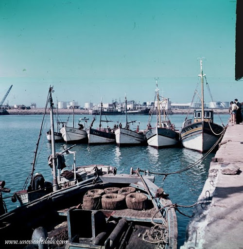 Les biens de l&rsquo;entreprise publique saisis et vendus aux enchères,  Qui veut couler Aldiph ?