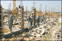 Les nouvelles tendances de l’emploi