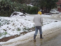 Pluies, vents et neige à partir de 700M,L’Algérie grelotte