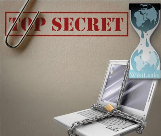 Protection des sites et réseaux internet en Algérie,La leçon WikiLeaks