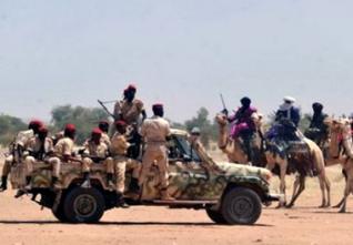 Trafic de drogue aux frontières ouest : L’Algérie présentera un rapport à l’ONU