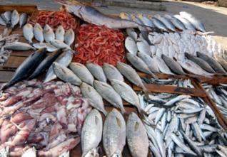 A cause de son prix excessif,L’Algérien ne consomme que 4 kilos de poisson par an