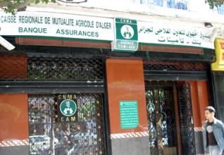 Elles seront régies par le ministère du Travail : Les mutuelles sociales changent de statut