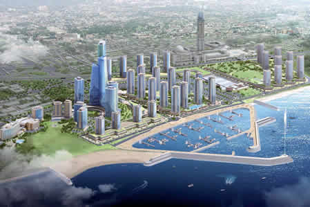 L’après pétrole est pour demain,Les enjeux de 2011