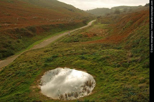 Le Conseil de la nation adopte le projet de loi sur les espaces protégés