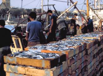 Les poissonniers veulent une application graduelle