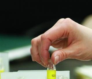 Plus de 40.000 chercheurs ont quitté le pays : La compétence et l’intelligence plient bagages