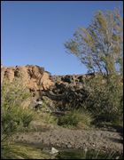 Un chercheur agronome dénonce le « pillage » des ressources génétiques de l&rsquo;Ahaggar