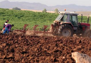107 000 exploitants agricoles ont déposé leurs dossiers : Les premiers actes de concession délivrés dans les prochains jours