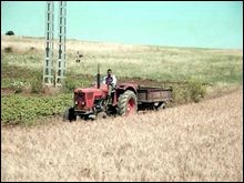 Création de 100.000 nouvelles exploitations agricoles à moyen terme