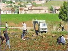 Création de nouvelles exploitations agricoles et d&rsquo;élevage: opération d&rsquo;envergure pour le secteur agricole