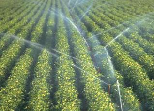 Cultures céréalières et maraîchères… : La Vallée du Sahel irriguée dès l’été prochain