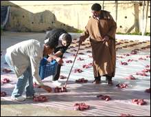 El waziaa, un rituel communautaire bien ancré dans le nord de Sétif
