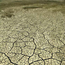 L&rsquo;Algérie participera à la 9e session du comité chargé de la mise en œuvre de l&rsquo;UNCCD