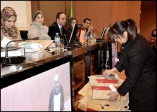 L&rsquo;allemand Centrotherm va réaliser l&rsquo;usine de panneaux solaires de Rouiba pour 298 millions d&rsquo;euros