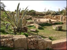 Maintenance et nettoyage ,site historique ,Portus magnus » (Oran)