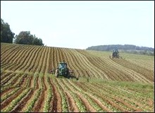 Mesures en faveur de l’emploi de jeunes dans le secteur agricole