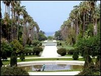 Plus d&rsquo;un million m2 d&rsquo;espaces verts recensés dans la wilaya d&rsquo;Alger (Edeval)