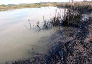 Pollution au Parc national d’El-Kala : Le lac Oubeira épargné par les huiles de vidange
