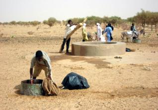 rencontre internationale sur la désertification en Allemagne : L’Algérie représente le groupe africain