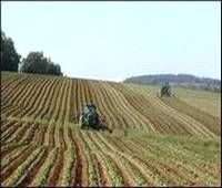 Terres agricoles du domaine privé de l&rsquo;Etat: 107.000 dossiers déjà déposés par les exploitants