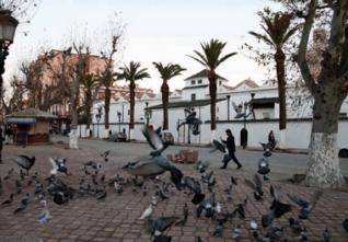 Tlemcen capitale de la culture islamique 2011 : Lumières sur le patrimoine musulman