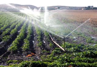 Agriculture : Irrigation de 1.600.000 ha d’ici à 2014