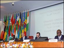 CAMI-19: plaidoyer pour le développement des industries de transformation en Afrique