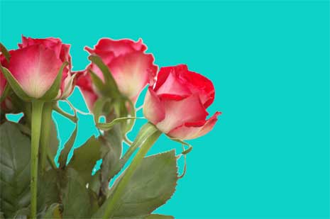 C&rsquo;est le 08 mars et les hommes sourient aux femmes