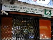 CNMA: Bientôt une « micro-assurance » pour les agriculteurs du monde rural