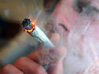 Consommation de la drogue en Algérie,L’ouest et le sud du pays inquiètent