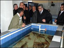 Développer l’aquaculture dans la wilaya de Jijel