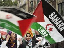 La lutte du peuple sahraoui mise en exergue à travers une exposition à Bechar