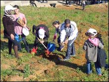 Lancement d&rsquo;une opération de plantation de 600 arbustes au parc « Dounia » à Alger