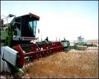 Le ministre de l&rsquo;agriculture s&rsquo;attend  »à une bonne année céréalière »