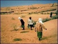 Lutte contre la désertification: importante contribution financière de l&rsquo;Algérie