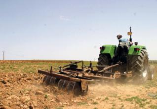Obtention des actes de concession agricole : L’opération lancée