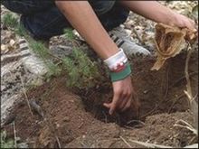Plus de 1,2 million d&rsquo;hectares reboisés à l&rsquo;horizon 2020