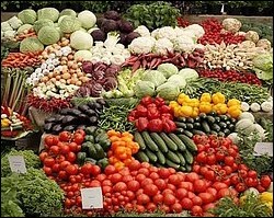 Sécurité alimentaire: appel à une mobilisation des jeunes pour relever le défi