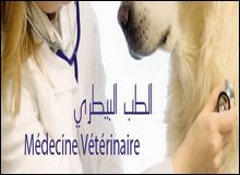 28e congrès maghrébin vétérinaire à Marrakech