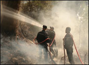 Constantine ,Les feux de forêts,Une lutte et une sensibilisation