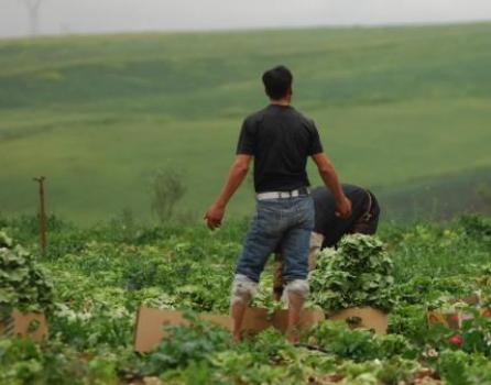 Crédits sans intérêts de 10 milliards pour les agriculteurs