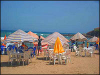 El-Tarf, Saison estivale,Ouverture de nouvelles plages