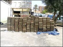 Importante saisie de drogue à Tlemcen